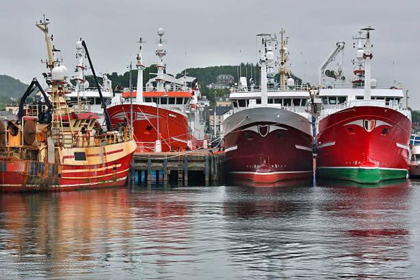 Straleel South * Carrick (Donegal)